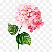 一株水彩花朵-空若网 一株水彩花朵-空若网