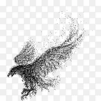 科技粒子飞鹰动态AI矢量-空若网 科技粒子飞鹰动态AI矢量-空若网