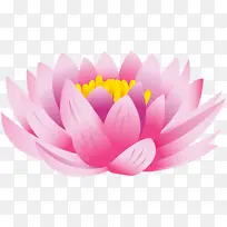 �ɻ����������ֻ滨���ֻ�ɻ�-������