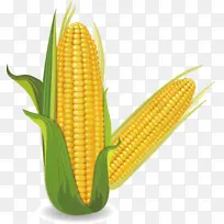 卡通蔬菜-两根玉米-空若网 卡通蔬菜-两根玉米-空若网