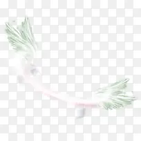 绿色的翅膀光环-空若网 绿色的翅膀光环-空若网
