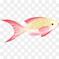 �ֻ濨ͨС����-������