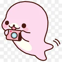 �����յ�С����-������