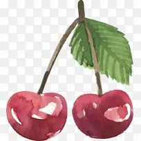 ˮ�� ӣ�� ˮī ˮ��-������