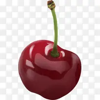 ӣ��дʵ�廭-������