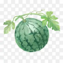 手绘绿色西瓜插画-空若网 手绘绿色西瓜插画-空若网