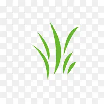 草地上绿绿的小草-空若网 草地上绿绿的小草-空若网