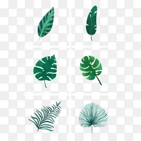 ��ɫֲ����Ҷ�廭�ز�-������