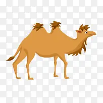 骆驼png插画素材-空若网 骆驼png插画素材-空若网
