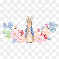 �ɰ��Ļ�������-������