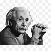 ����ѧ�Ұ���˹̹-������