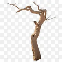 ��   ����     װ����-������