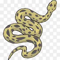 �ֻ� ��  �廭 ���-������