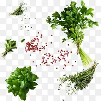 蔬菜,香菜,薄荷,红豆-空若网 蔬菜,香菜,薄荷,红豆-空若网