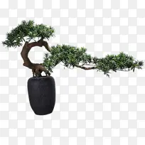 ��ʽ��ɫ������-������