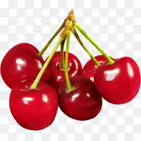 红色樱桃水果png素材-空若网 红色樱桃水果png素材-空若网