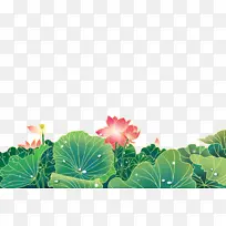 国潮荷花插画-空若网 国潮荷花插画-空若网