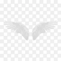 ��ɫչ����-������