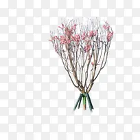 开花的树木素材-空若网 开花的树木素材-空若网