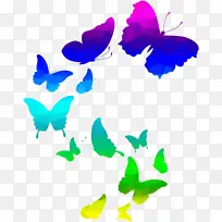 彩色蝴蝶飞舞png-空若网 彩色蝴蝶飞舞png-空若网