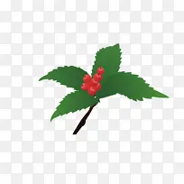 植物草珊瑚小红果-空若网 植物草珊瑚小红果-空若网