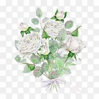 ˮ��õ�廨����-������