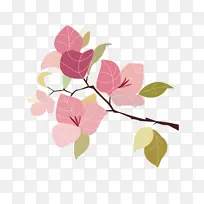 三角梅花卉插画-空若网 三角梅花卉插画-空若网
