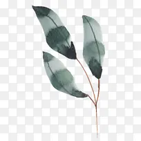手绘水彩装饰绿叶-空若网 手绘水彩装饰绿叶-空若网