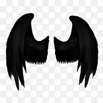 黑色的翅膀素材-空若网 黑色的翅膀素材-空若网