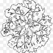 Ê÷ľÊ÷Ö¦ºÚ°×·çÊÖ»æÏß¸åÆ½Ãæ-¿ÕÈôÍø Ê÷ľÊ÷Ö¦ºÚ°×·çÊÖ»æÏß¸åÆ½Ãæ-¿ÕÈôÍø