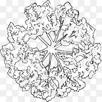 树木树枝树冠黑白风手绘线稿平面-空若网 树木树枝树冠黑白风手绘线稿平面-空若网