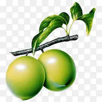 水果图片,水果,李子,植物-空若网 水果图片,水果,李子,植物-空若网