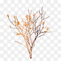 冬天树枝干花树枝-空若网 冬天树枝干花树枝-空若网
