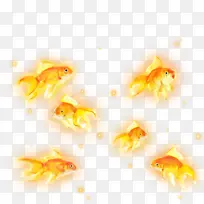 可爱金鱼漂浮-空若网 可爱金鱼漂浮-空若网