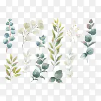 各种各样的树枝树叶-空若网 各种各样的树枝树叶-空若网