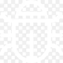 瓢虫,臭虫,七星瓢虫-空若网 瓢虫,臭虫,七星瓢虫-空若网