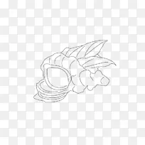 生姜线性插画-空若网 生姜线性插画-空若网