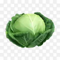 卷心菜高清蔬菜-空若网 卷心菜高清蔬菜-空若网