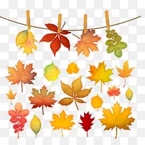 秋天的枫叶剪影-空若网 秋天的枫叶剪影-空若网