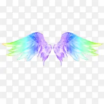 ��ɫ������ʹ���-������