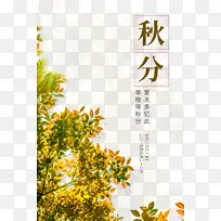 ���������֦��Ҷ��ʮ�Ľ���-������