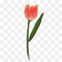 手绘卡通花朵郁金香-空若网 手绘卡通花朵郁金香-空若网