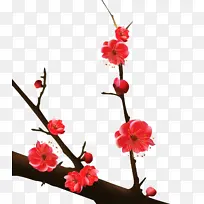 ÷�� ��֦-������