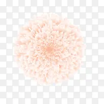 �����Լ���գ�Ai��-������