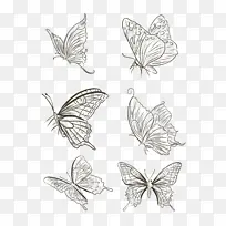 蝴蝶黑白插画-空若网 蝴蝶黑白插画-空若网