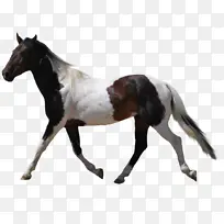 �Բݵ��� �ӱߵ���-������