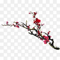 树枝梅花墨梅-空若网 树枝梅花墨梅-空若网