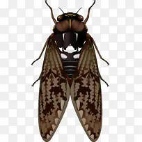 À¥³æÖªÁ˲õPNGͼƬ-¿ÕÈôÍø À¥³æÖªÁ˲õPNGͼƬ-¿ÕÈôÍø