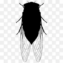 ��֪������PNGͼƬ-������