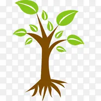 一颗绿叶树免费下载-空若网 一颗绿叶树免费下载-空若网